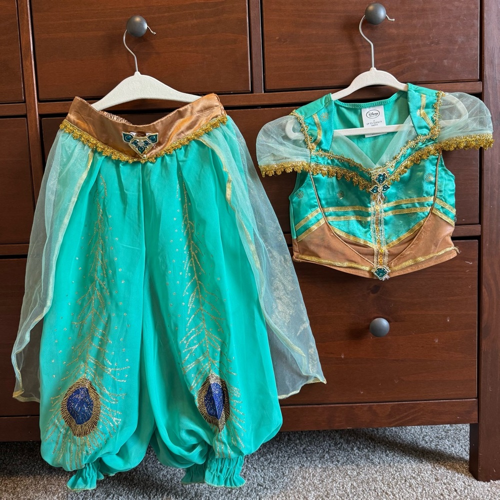 Disney Jasmine Costume